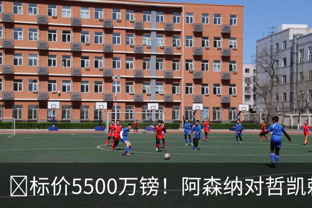 ​标价5500万镑！阿森纳对哲凯赖什敞开出售大门