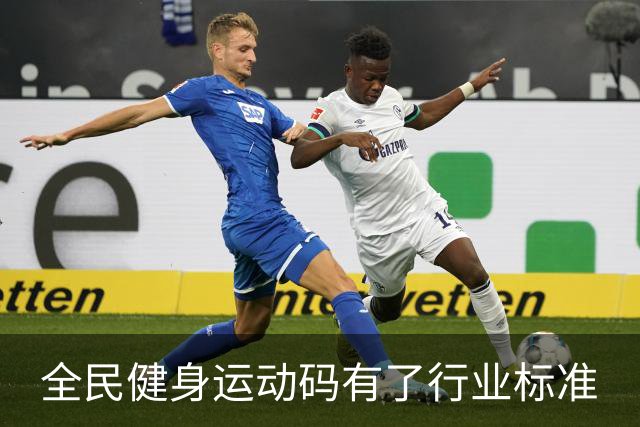 全民健身运动码有了行业标准