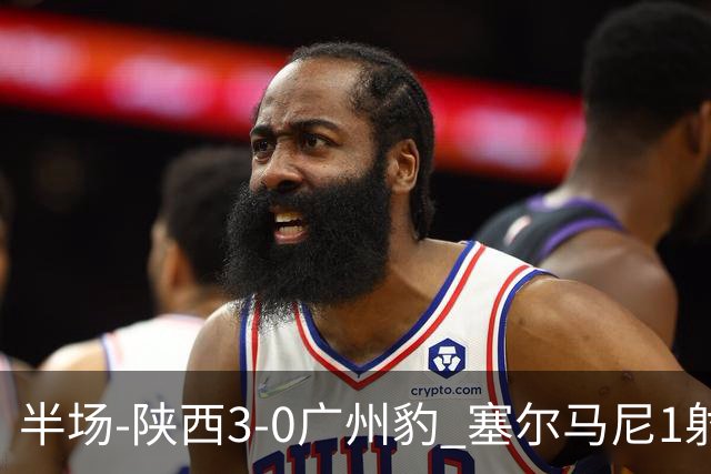 半场-陕西3-0广州豹 塞尔马尼1射2传+世界波 钟文伊兰杜斯特建功