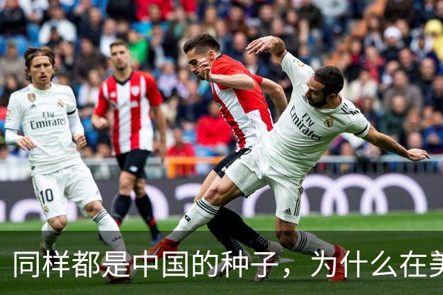 同样都是中国的种子，为什么在美国种出的水稻，亩产要比中国高？