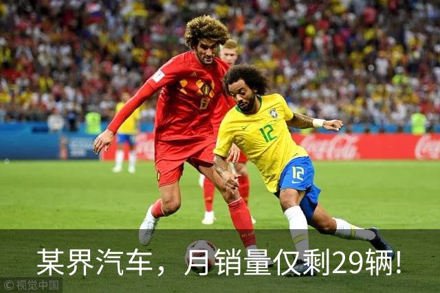 某界汽车，月销量仅剩29辆!