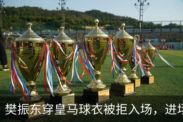樊振东穿皇马球衣被拒入场，进场后被狂热球迷投诉是卧底，发文直呼“荒诞得像一场梦……”