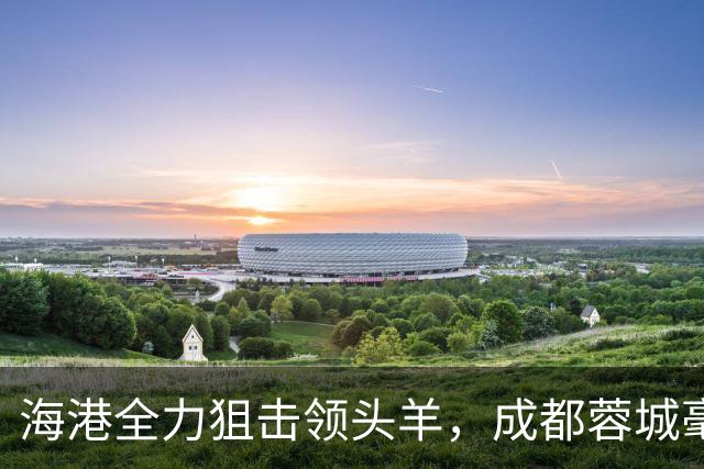 海港全力狙击领头羊，成都蓉城毫无起色但结果不错，刘殿座封神