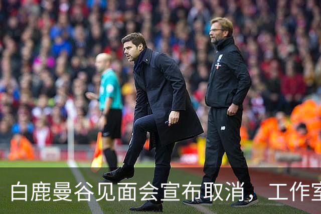 白鹿曼谷见面会宣布取消，工作室公布补偿方案！中使馆：泰国近期发生多起中国公民入境后失踪案件，还出现针对演艺人员的拍摄演出邀约骗局