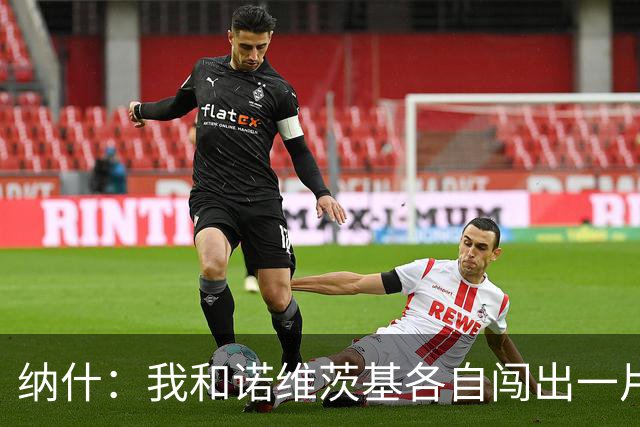 纳什：我和诺维茨基各自闯出一片天 最终成为一生挚友&这意义非凡