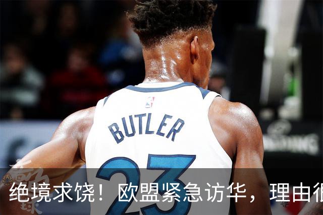 绝境求饶！欧盟紧急访华，理由很直接，阿斯麦再撑不住就要崩盘了