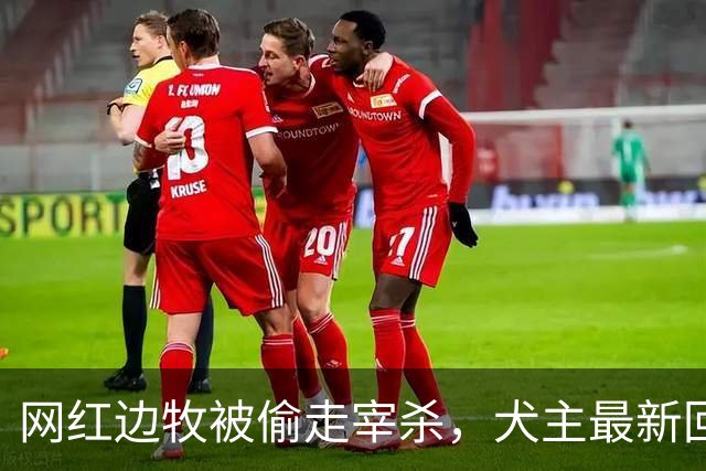 网红边牧被偷走宰杀，犬主最新回应：对方赔偿30万元，我将一分不留全捐出去！