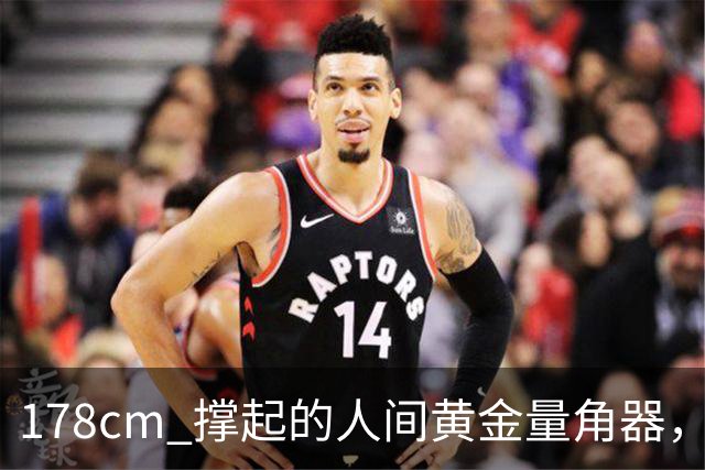 178cm 撑起的"人间黄金量角器"，凭什么火得这么清醒？